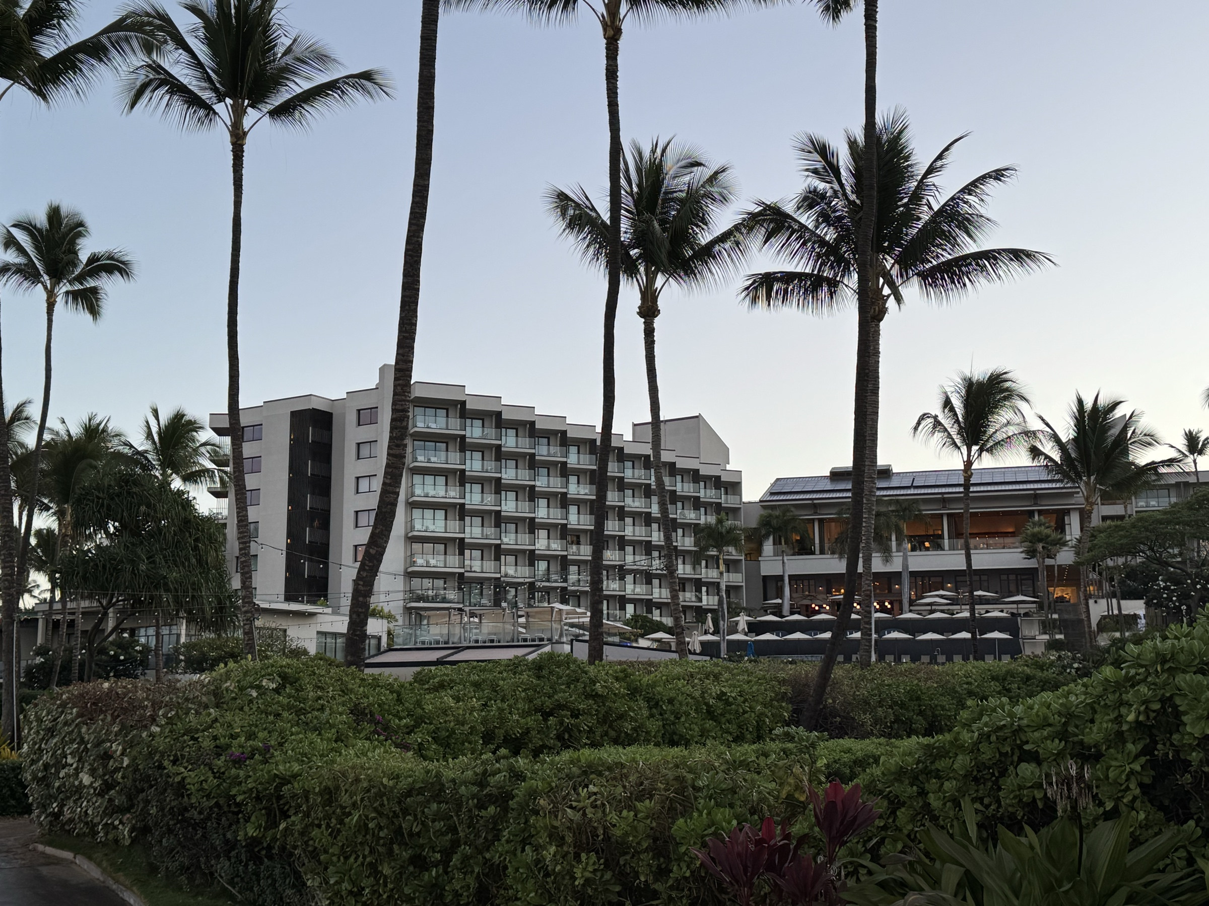 Andaz Maui buildings and palms at dusk