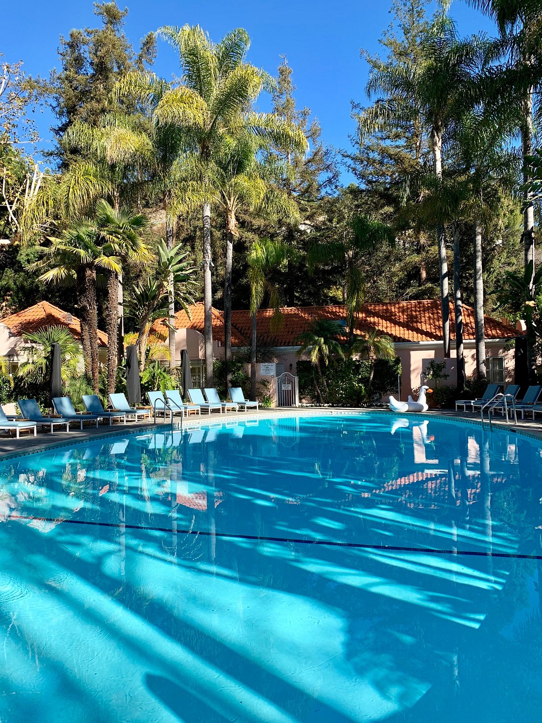 Pool at Hotel Bel-Air