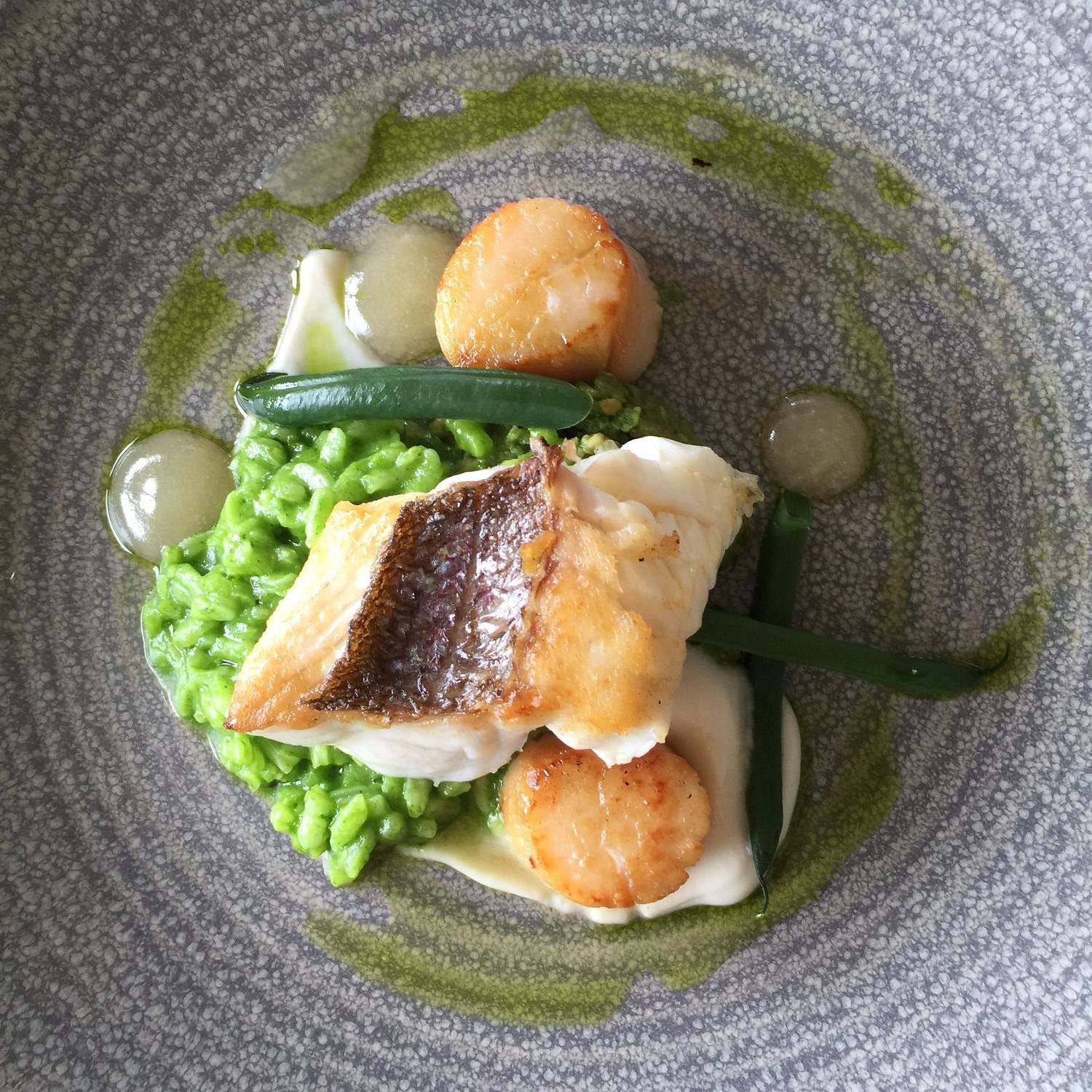 Dining at Rosewood Kauri Cliffs